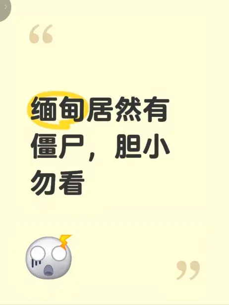 《缅甸僵尸出土事件》现场全程录像高清无删减免费播放-揭秘缅北僵尸出土事件真相最新完整版在线观看