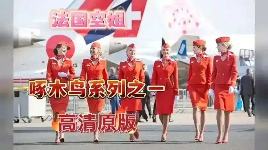 《法国空姐2019/不雅空乘》HD1080P高清未删减版-《法国航空/法国空姐》完整资源免费在线观看-职场情感大戏空乘秘辛