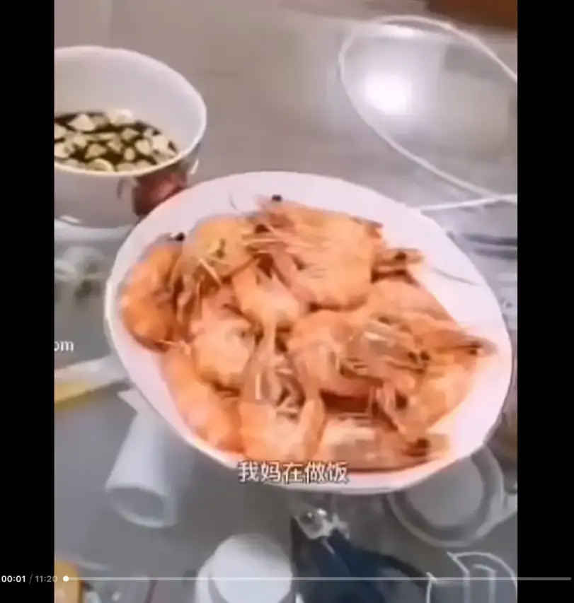 《大虾母子厨房完整版》视频资源免费在线观看 - 猎奇视频来龙去脉解析 - 百度网盘夸克迅雷下载