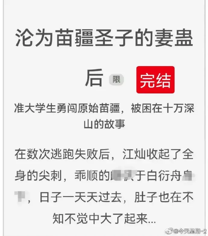 《沦为苗疆圣子的妻蛊后》全集txt下载-沦为苗疆圣子的妻蛊后免费阅读-狐狸雨小说全文在线阅读-完结版资源百度云分享