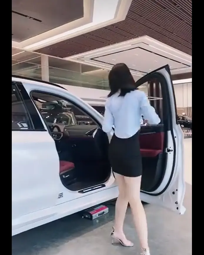 迪桑特女销售导购实录1080P高清成片无删减-佳木斯新玛特迪桑特专柜导购日常-资源下载免费在线看全系列