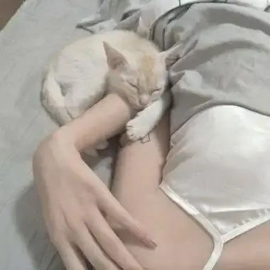 《森泽佳奈》高清全集未删减版免费在线观看-森泽佳奈无广告网盘下载-1080P蓝光中文配音珍藏